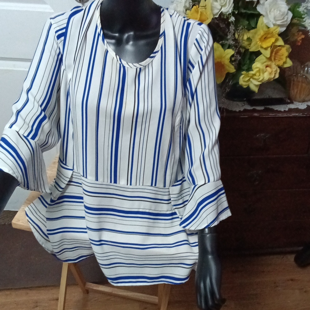Catherines Blue and White Striped Blouse